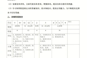 中小学篮球训练队年度训练计划表格
